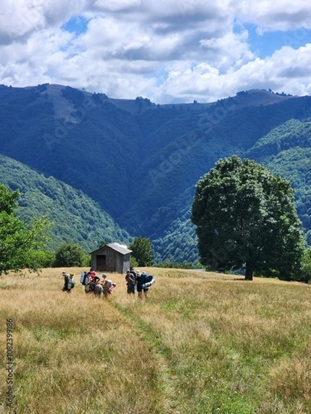 Obraz Carpathian Mountains