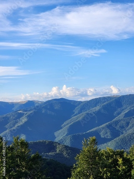 Obraz Carpathian Mountains