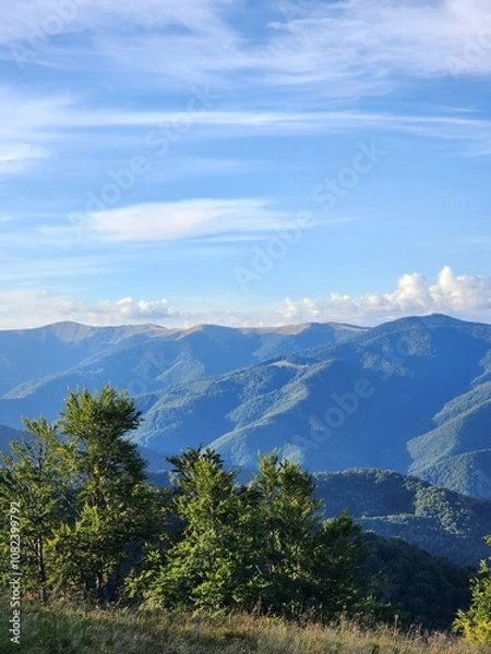 Obraz Carpathian Mountains