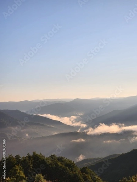 Obraz Carpathian Mountains