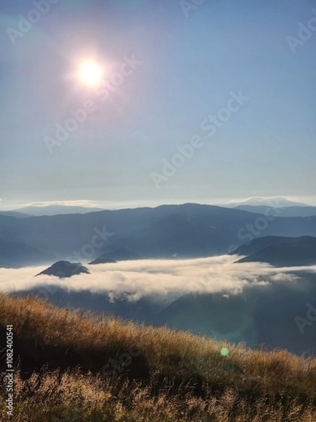 Obraz Carpathian Mountains