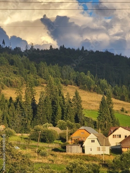Obraz Carpathian Mountains