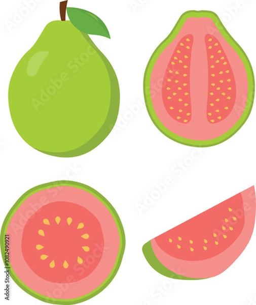 Fototapeta Juicy and healthy green fresh guava fruit set whole, halves, round and slice. Set of green guava different positions, simple flat vector illustrator isolated on white background. 
