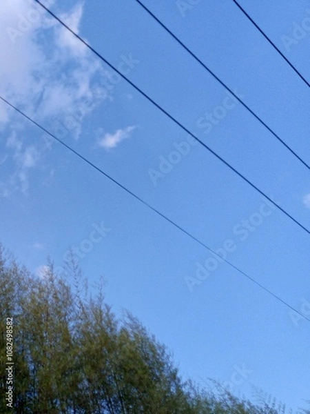 Fototapeta A blue sky with white clouds and power lines above a green bamboo forest.
