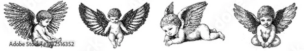Obraz A cute baby with wings in a frame in a modern retro style engraving black and white illustration.