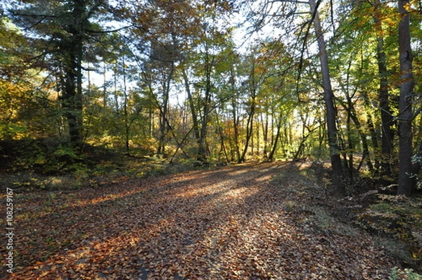 Obraz Hauteurs de la Solle