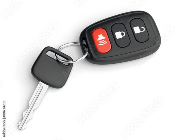 Obraz Remote control car key