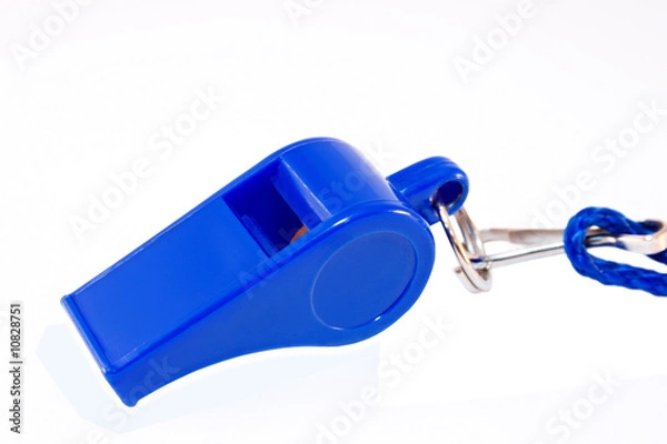 Obraz blue whistle