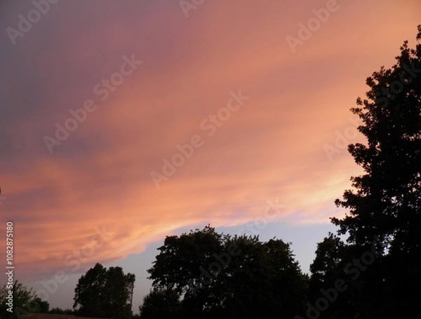 Obraz Colorful Sunset