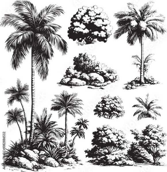 Fototapeta Detailed vintage illustration showcasing a variety of palm trees and lush vegetation, creating a tropical and exotic atmosphere