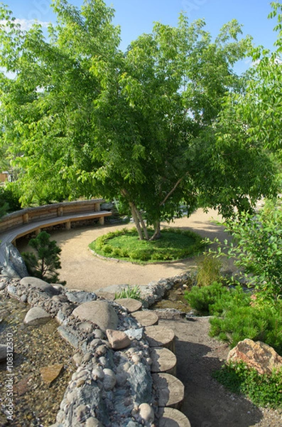 Fototapeta дерево в парке