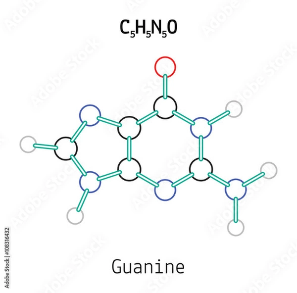 Fototapeta C5H5N5O guanine molecule
