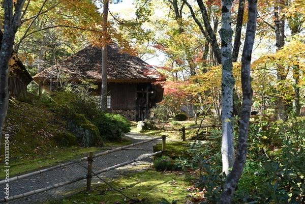 Obraz 栃木県日光市湯西川の平家の里の秋の風景