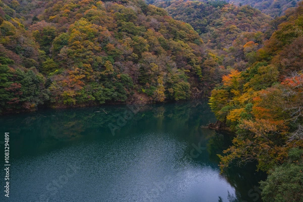 Obraz 紅葉と湖