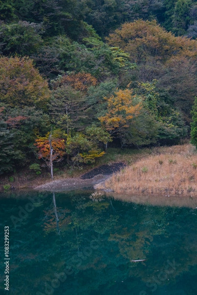 Obraz 紅葉と湖