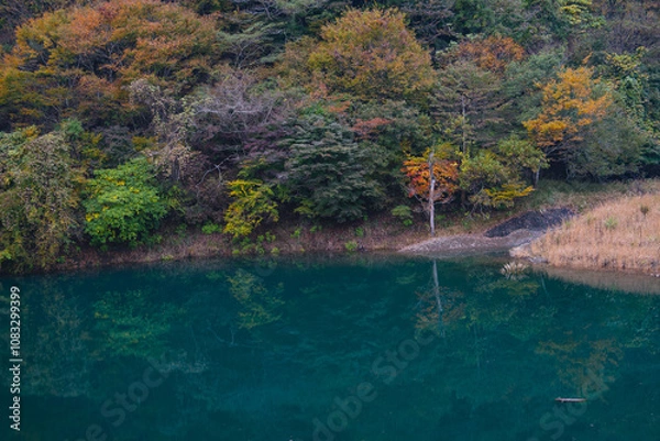 Obraz 紅葉と湖