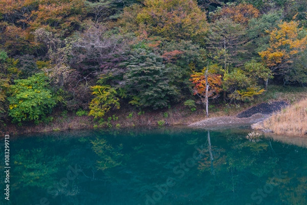 Obraz 紅葉と湖