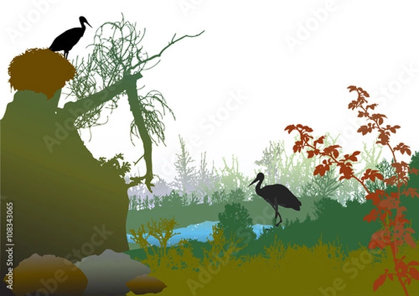 Fototapeta Panoramic wild landscape with a pond, broken tree, plants and storks