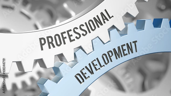 Obraz professional development