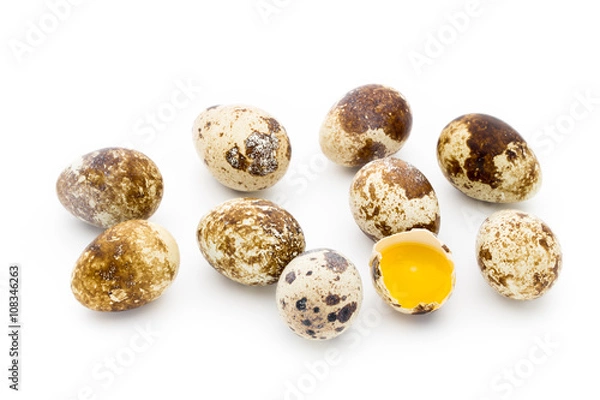 Obraz Quail eggs the isolated on a white background.