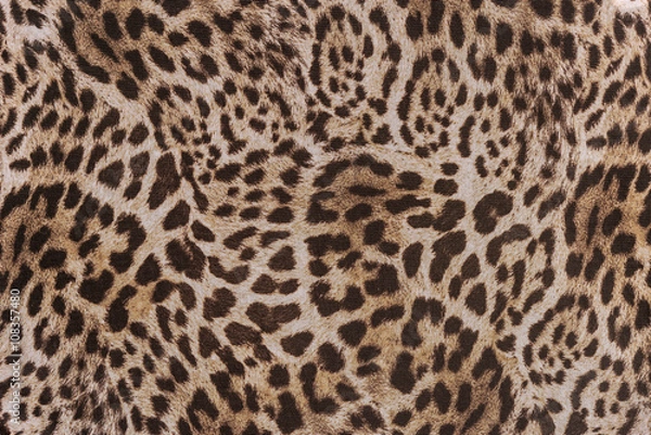 Fototapeta texture of print fabric striped leopard