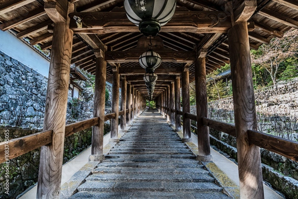 Obraz 奈良県のお寺、長谷寺