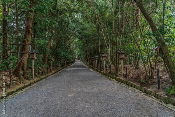 Obraz 奈良、大神神社