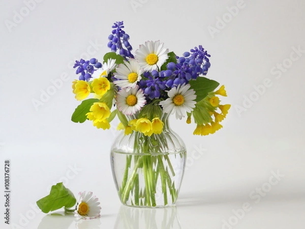 Obraz Bukiet wiosennych kolorowych kwiatów w wazonie. Kwiatowa martwa natura z bukietem stokrotek, hiacyntów winogronowych i kwiatów cowslip w wazonie.