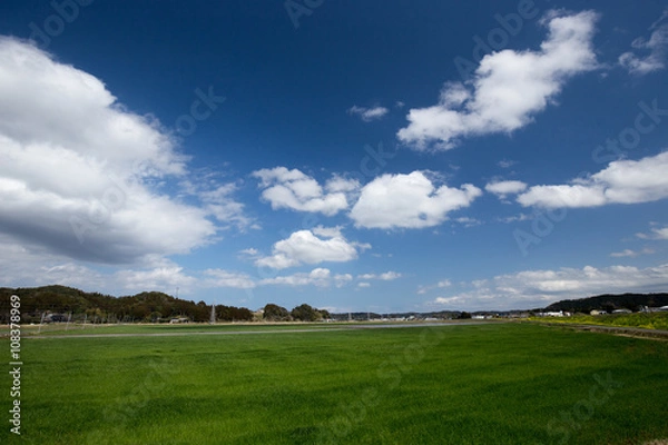 Fototapeta たんぼと青空と雲