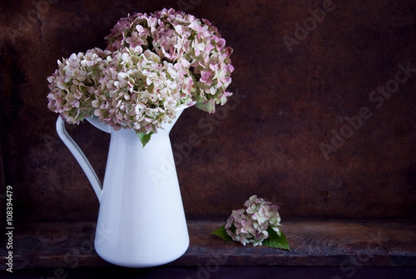 Obraz Dried hydrangea flowers