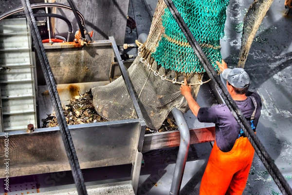 Fototapeta Fischfang