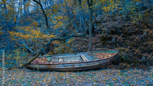 Obraz Boot im Wald