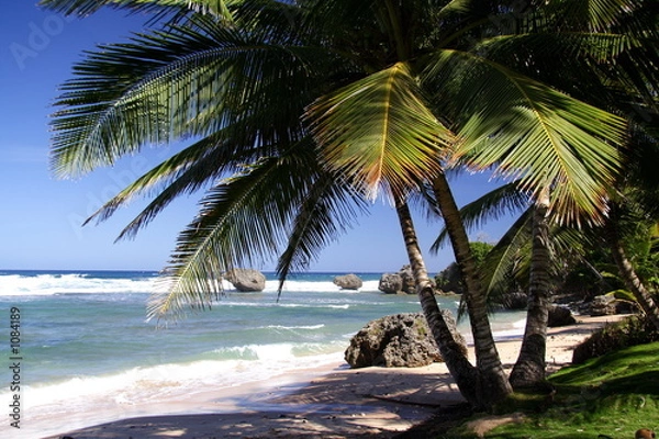 Obraz cień na plaży