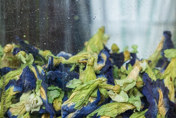 Fototapeta Stock Butterfly Pea Tea in a jar