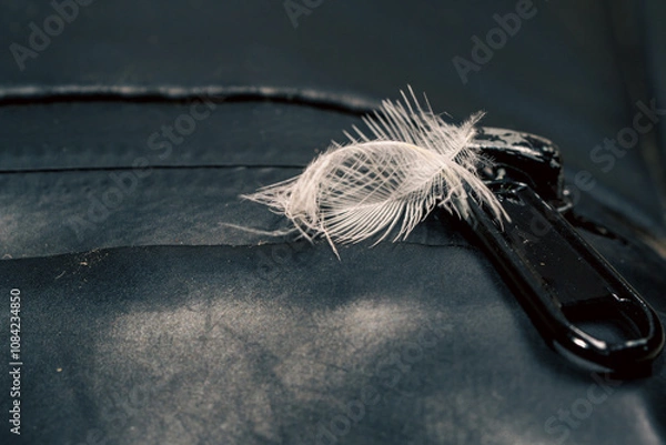 Fototapeta Eagle feathers that fell on the bag, close up of a head of a horse