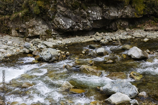 Obraz Landscape with Latoritei river in Romanian Carpathian mountains