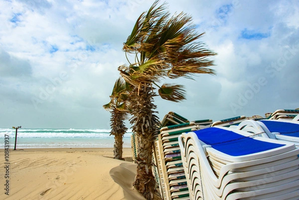 Fototapeta Winter beach