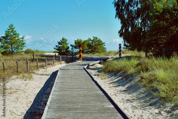 Obraz Wooden path on Polish-German border