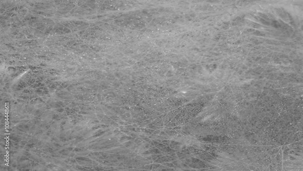 Fototapeta Grunge texture background PNG transparent.Opacity or screen mode usage for overlay