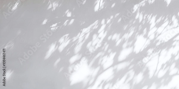 Fototapeta Plant shadows on gray background, texture background, texture overlay