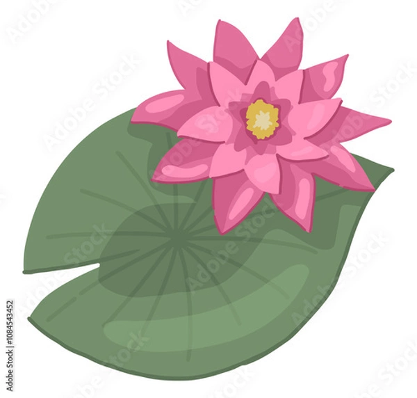 Obraz Abstract water lily plant. Lotus flower with leaf in cartoon style. Botanical clip art isolated on white. Single vector illustration.