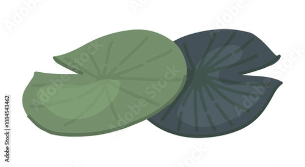 Fototapeta Abstract water lily plant in pond, green leaf pads. Lotus leaves in cartoon style. Botanical clip art isolated on white. Single vector illustration.