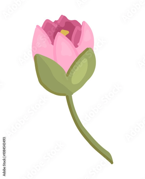 Fototapeta Abstract water lily plant. Lotus flower in cartoon style. Botanical clip art isolated on white. Single vector illustration.