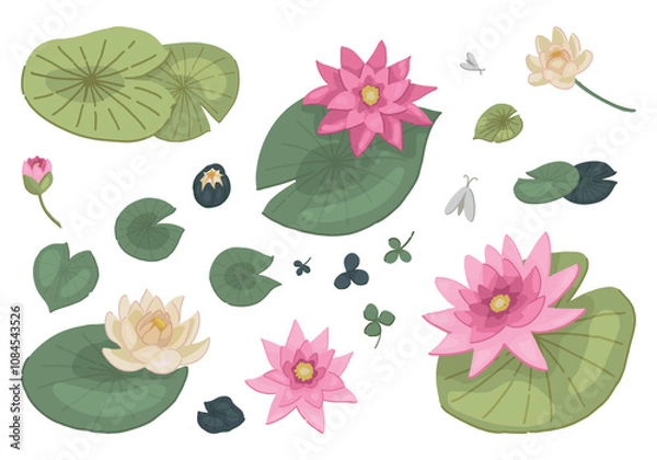 Fototapeta Abstract water lily plants collection. Set of lotus flowers in cartoon style. Botanical clip arts isolated on white. Vector illustration.