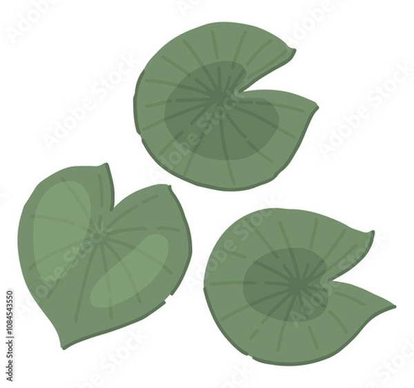 Fototapeta Abstract water lily plant in pond, green leaf pads. Lotus leaves in cartoon style. Botanical clip art isolated on white. Single vector illustration.