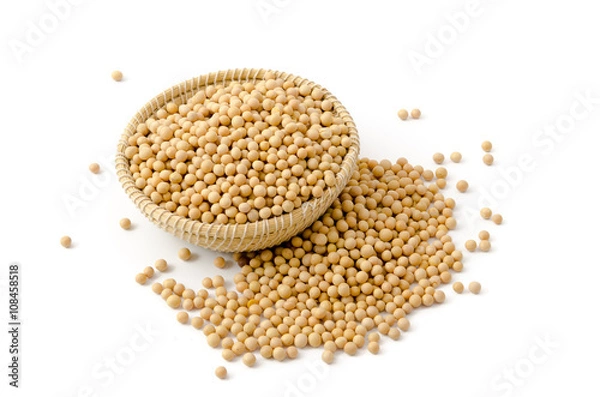 Fototapeta Sojabohnen