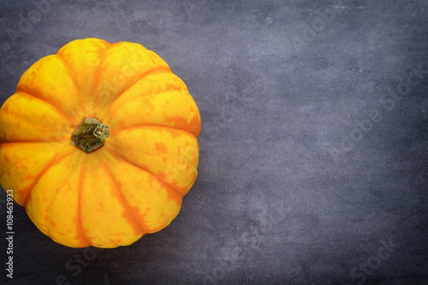 Fototapeta Pumpkin.