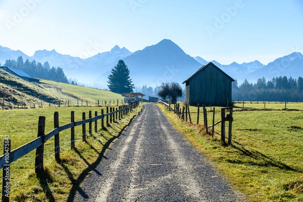 Obraz Trekking path surrounded by the Alps
