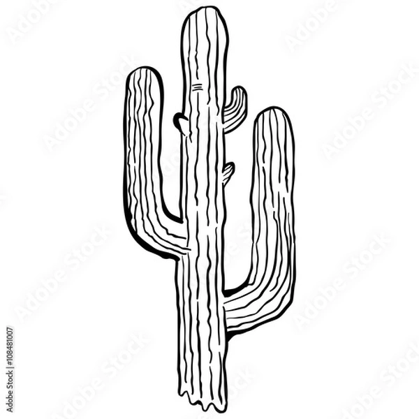 Fototapeta simple black and white cactus