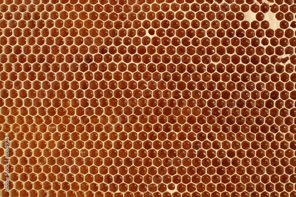 Fototapeta honeycell